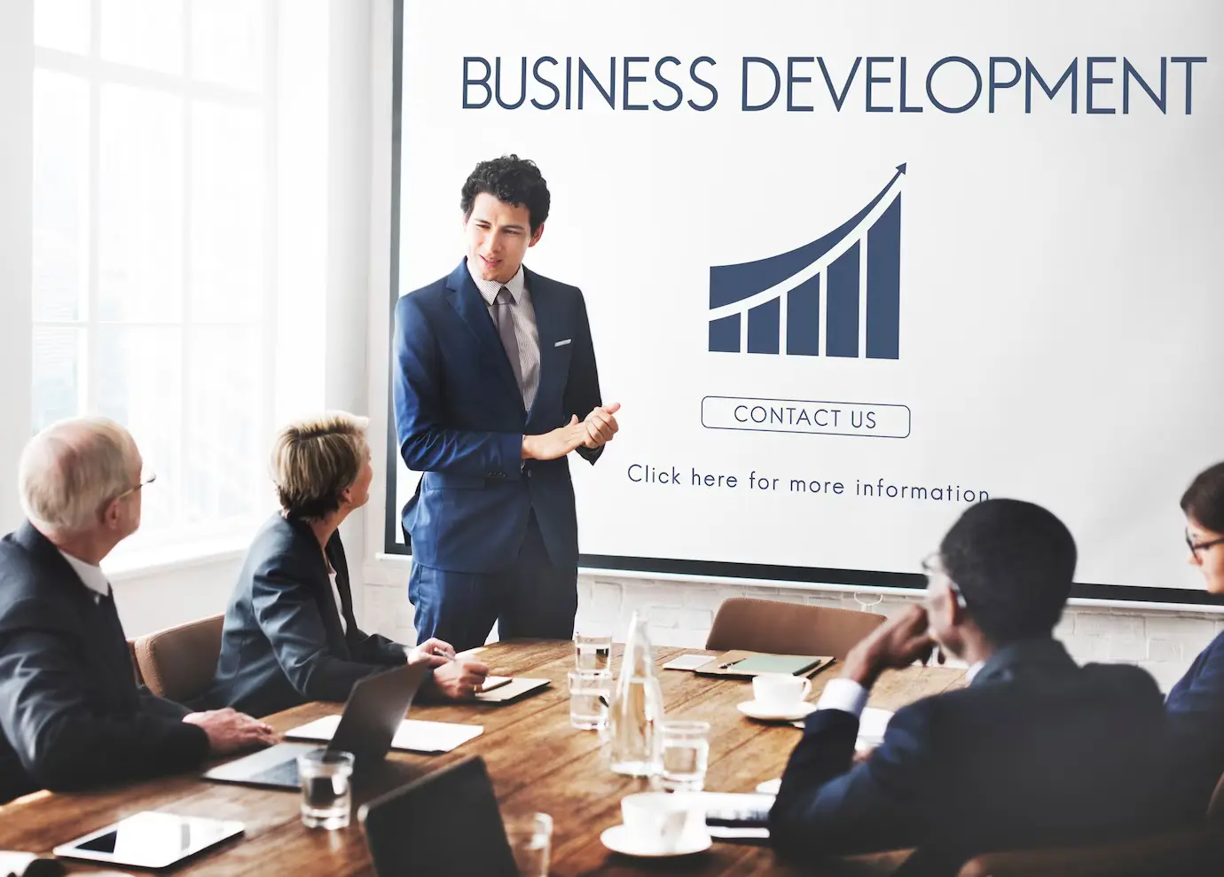 Consulting & Business Development